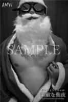 XmasSPECIAL-Santa Reindeer for Lovely holy Night-Moving-PhotoAlbum-sampl (14)