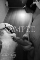 XmasSPECIAL-Santa Reindeer for Lovely holy Night-Moving-PhotoAlbum-sampl (29)