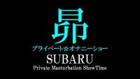 SUBARU-blog-P-M-S-top.jpg